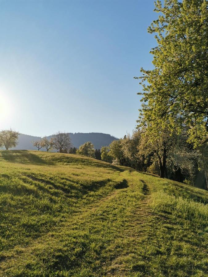 Apartma Lesjak - Pobeg V Naravo Мозирье Экстерьер фото